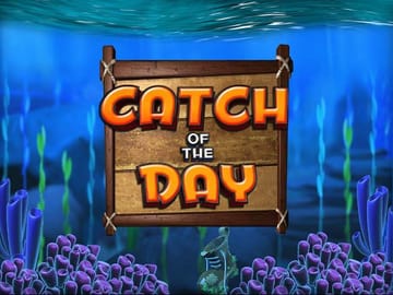 Catch of the Day